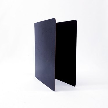 CARPETA 2X30 ESQUELA FIBRA NEGRA THE PEL 2067          