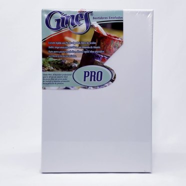 BASTIDOR GINES PRO 20X30CM          