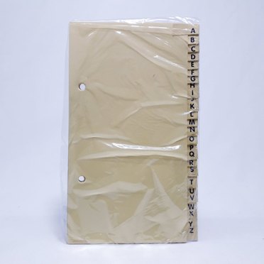INDICE PARA CARPETA ESQUELITA IGNEO COD0501          