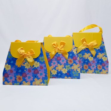SET 3 CAJAS CARTON TIPO BOLSO 049CX0748 DVITA          