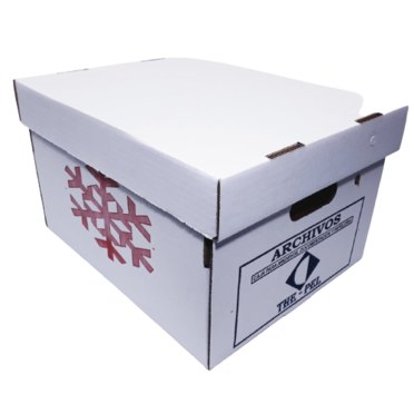 CAJA ARCHIVO CARTON THE PEL 42X33X24CM8510          
