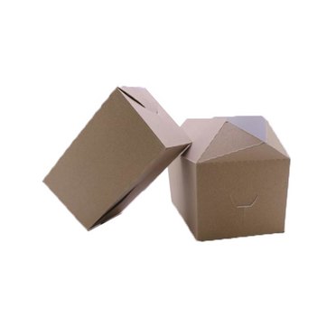 CAJA DELIVERY 25X135X11CMCTADFG001 MEDORO          