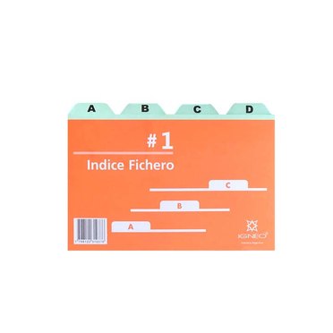 INDICE PARA FICHERO NRO1 IGNEO COD0521          