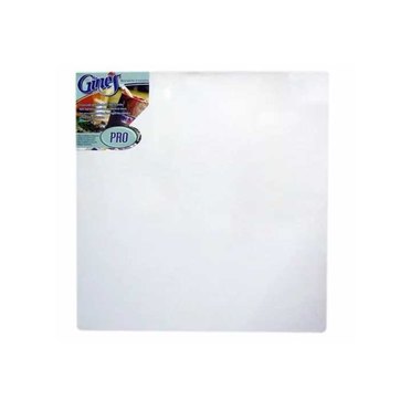 BASTIDOR GINES PRO 20X20CM          