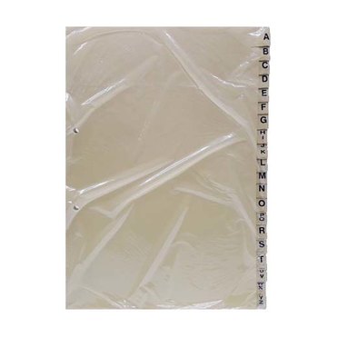 INDICE PARA CARPETA A4 IGNEO COD0506          