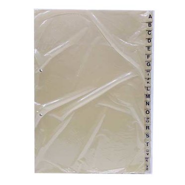 INDICE PARA CARPETA OFICIO IGNEO COD0505          