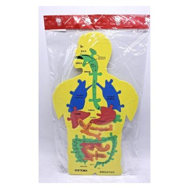 CUEPO HUMANO GOMA EVA FD40CB-208LE FAYDI 407-0100          